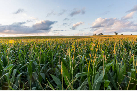 Enjeux Risques Majeurs Patrimoine Agricole