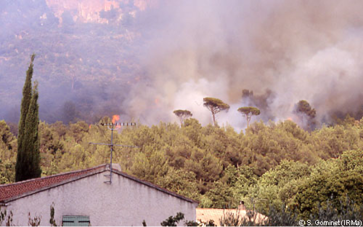 Feu de forêt à Evenos (Var) 2004 - Source IRMA Grenoble / Sébastien Gominet