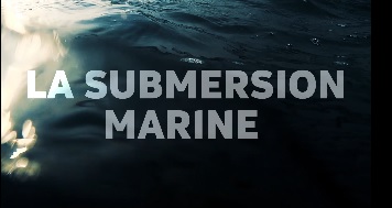 La submersion marine